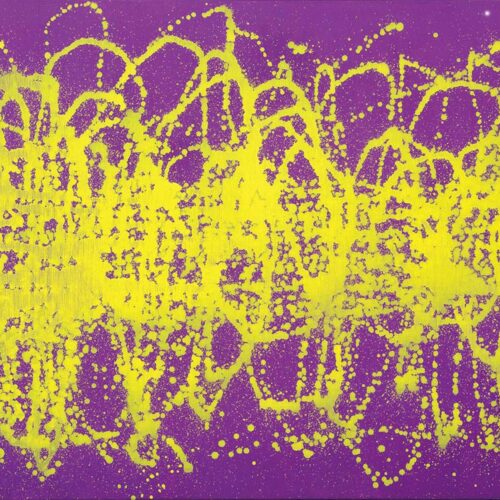 王富娘_光之律動